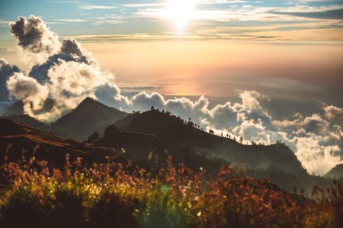 有关冷静, 剪影, 华丽的的免费素材图片