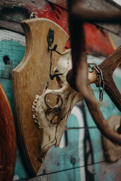 有关交换见面, 公平, 圣诞市场的免费素材图片