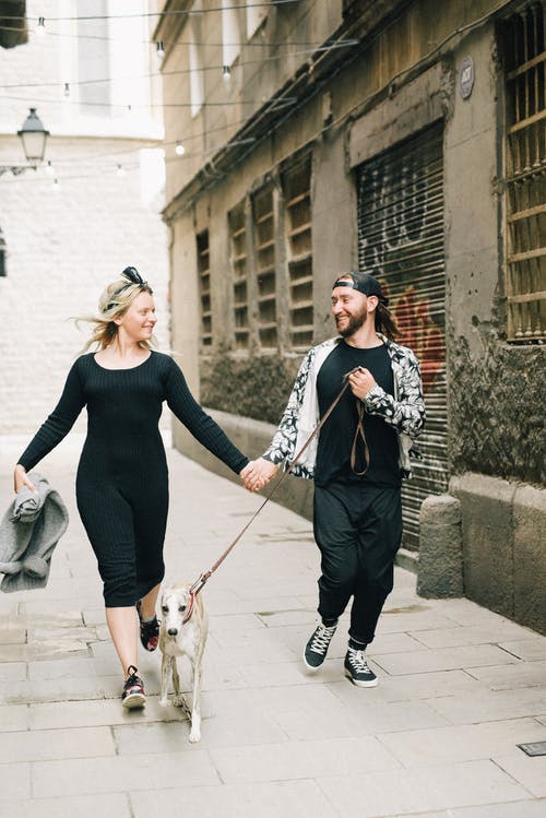 情侣手牵着手，Walking狗 · 免费素材图片