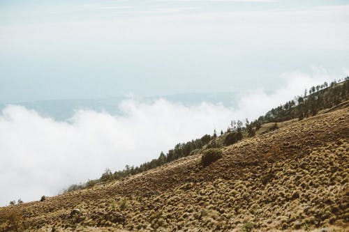 有关冒险, 冷静, 华丽的的免费素材图片