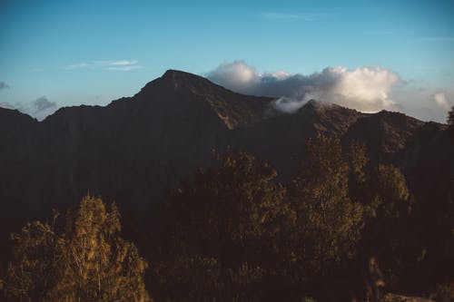 有关冒险, 冷静, 华丽的的免费素材图片