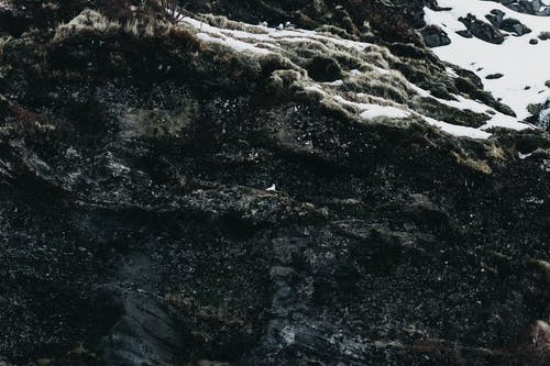 有关Copyspace, 侵蚀, 冬季的免费素材图片