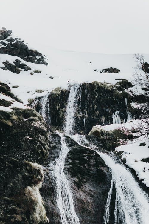 有关下落, 从下面, 冬季的免费素材图片