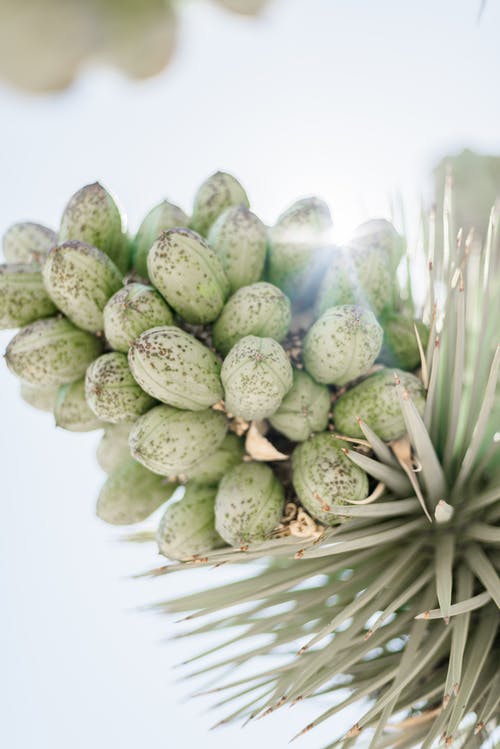 有关乾旱, 乾的, 从下面的免费素材图片