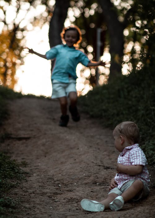有关一起, 假期, 兄弟的免费素材图片