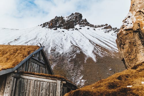 有关从下面, 低角度, 冬季的免费素材图片