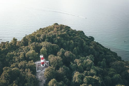 有关冷靜, 华丽的, 和平的的免费素材图片