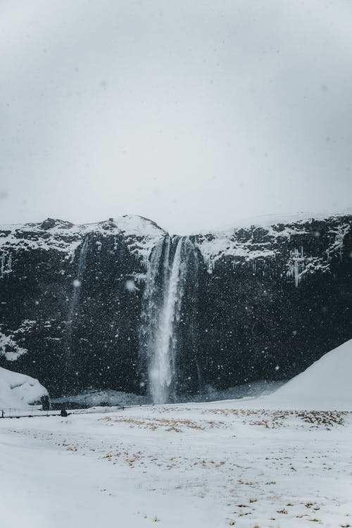 有关下落, 冬季, 冷的免费素材图片