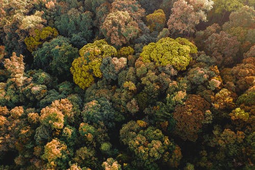 有关下落, 佩服, 充滿活力的免费素材图片