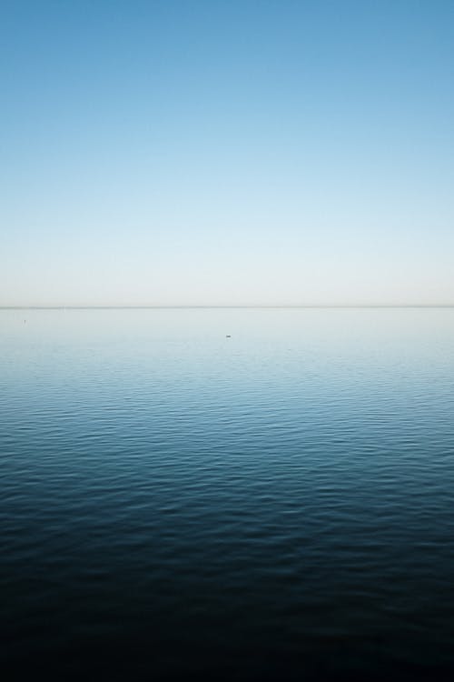 有关地平线, 天性, 天空的免费素材图片