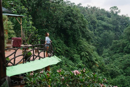 有关享受, 休息, 住宅的免费素材图片