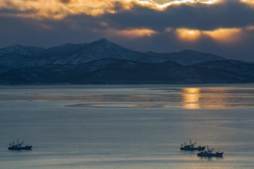 有关冷静, 反射, 和谐的免费素材图片