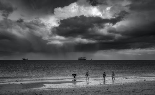 有关bw, 一起, 不露面的免费素材图片