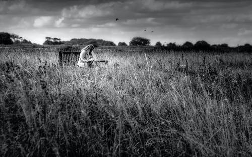 有关bw, 不露面, 假期的免费素材图片