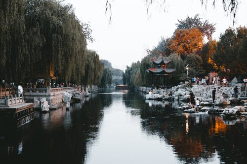 有关公共, 公园, 冷静的免费素材图片