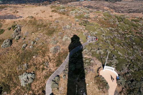 有关公园, 冷静, 和平的的免费素材图片