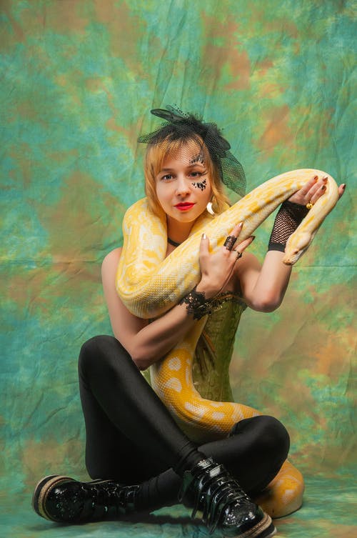 有关python, 偏心, 优雅的免费素材图片