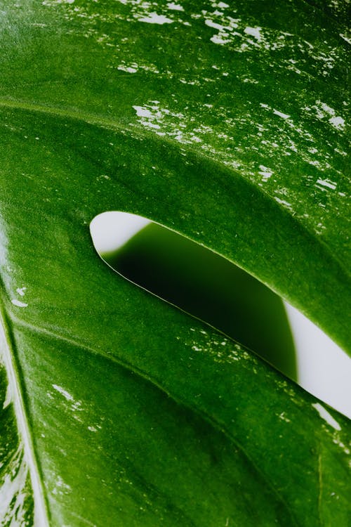 有关instagram故事背景, 壁纸, 宏观的免费素材图片