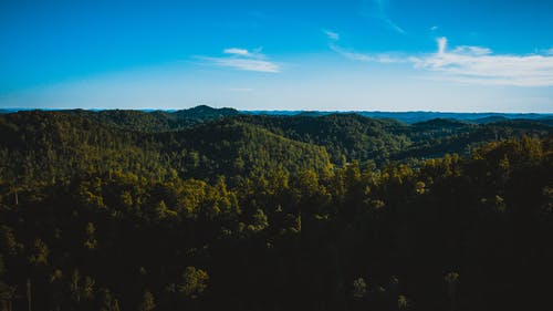 有关健行, 冷静, 原本的免费素材图片