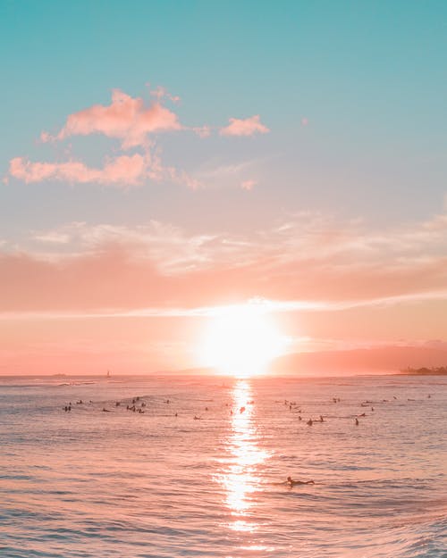 有关drome, 一缕阳光, 夏威夷的免费素材图片