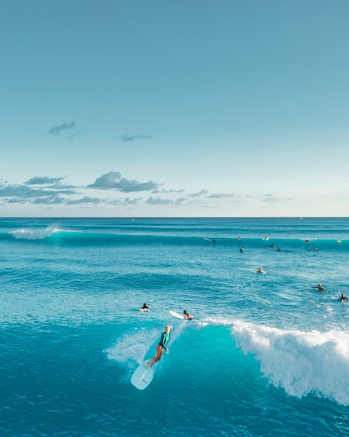 有关drome, 冲浪女孩, 夏威夷的免费素材图片