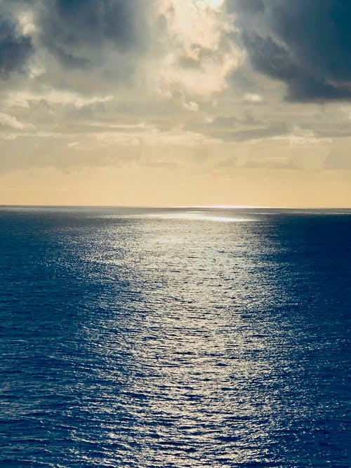 有关加勒比海, 垂直拍摄, 天性的免费素材图片