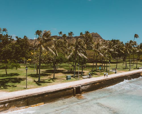 有关公园, 成本, 户外的免费素材图片