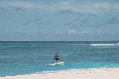 有关oceanwaves, 夏威夷, 招手的免费素材图片