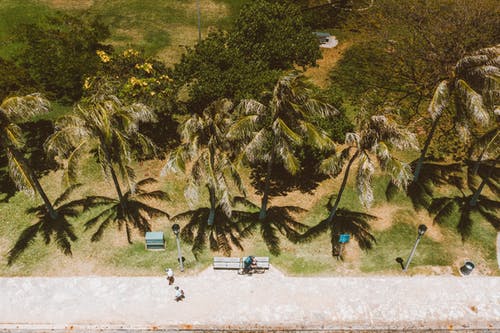 有关公园, 夏威夷, 成本的免费素材图片