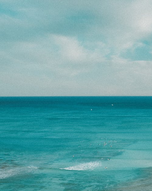 有关夏威夷, 套, 招手的免费素材图片