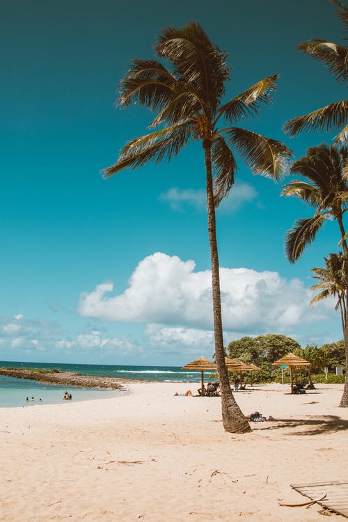 有关夏威夷, 天堂, 放松的免费素材图片