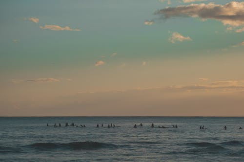有关冲浪爱好者, 夏威夷, 招手的免费素材图片