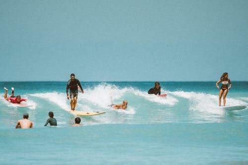 有关人, 冲浪文化, 夏威夷的免费素材图片