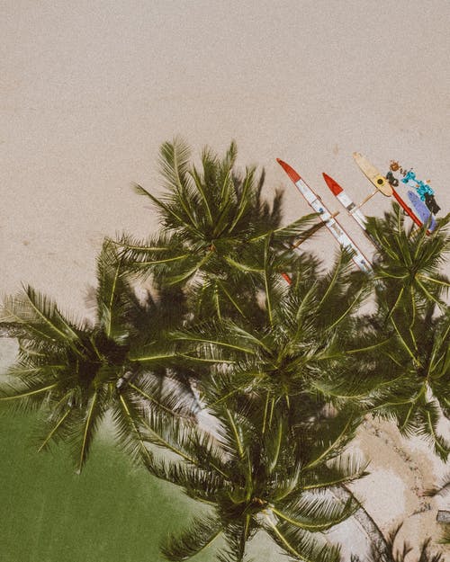 有关夏威夷, 无人机相机, 棕榈树的免费素材图片