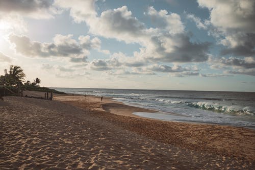 有关oceanwaves, 夏威夷, 招手的免费素材图片