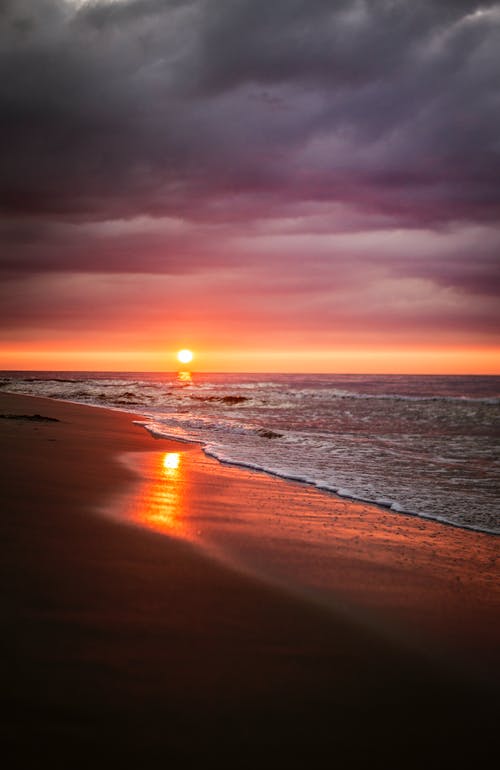 有关不变, 华丽的, 反射的免费素材图片