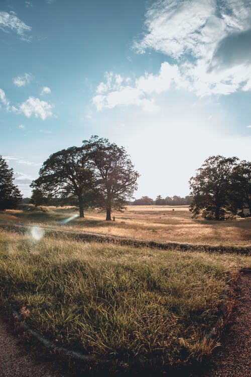 有关冒险, 冷静, 原本的免费素材图片