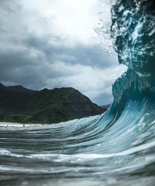 有关低角度, 假日, 华丽的的免费素材图片