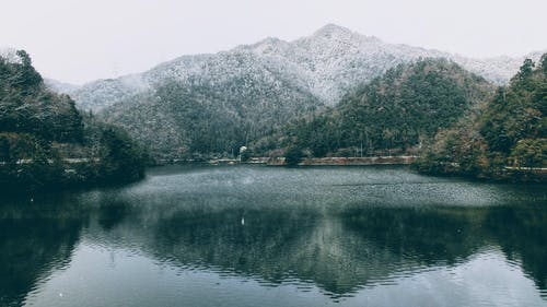 有关冬季, 冷, 冷冻的免费素材图片