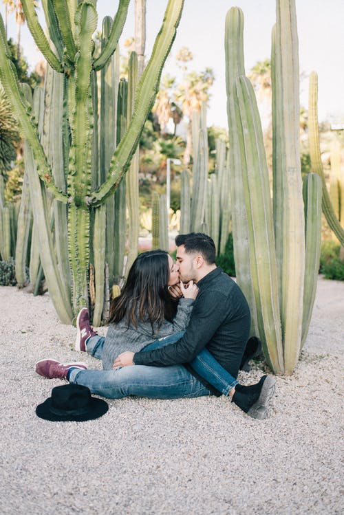男人和女人在绿色仙人掌植物附近接吻 · 免费素材图片