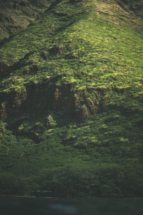 有关健行, 冷静, 华丽的的免费素材图片