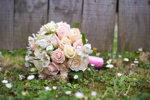 有关事件, 作文, 假日的免费素材图片