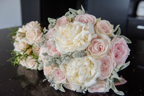 有关事件, 作文, 优雅的免费素材图片