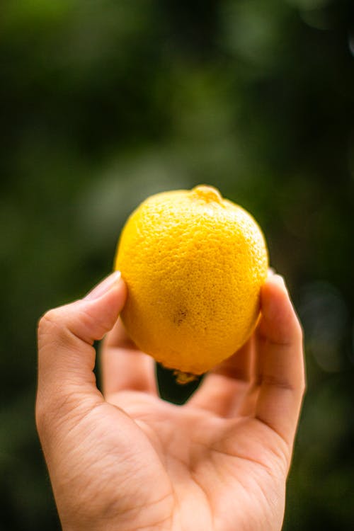 有关手, 握住, 柑橘的免费素材图片