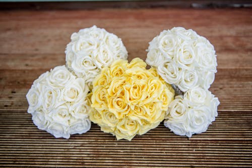 有关事件, 作文, 优雅的免费素材图片