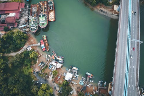 有关假期, 和平的, 天性的免费素材图片