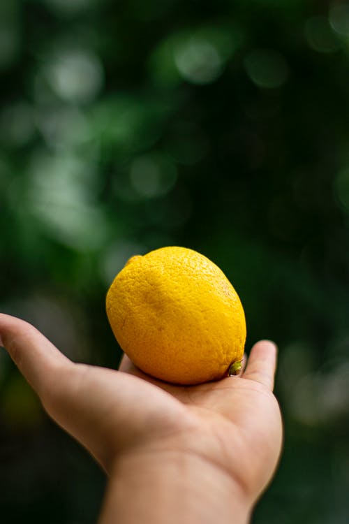 有关手, 握住, 柑橘的免费素材图片