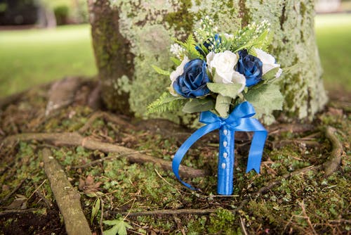 有关一串, 作文, 原本的免费素材图片