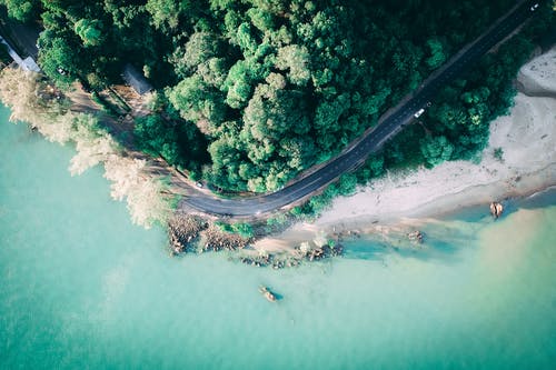 穿过森林在海水附近的路 · 免费素材图片