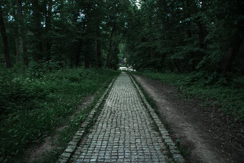 有关不清楚, 公園, 圖片的免费素材图片